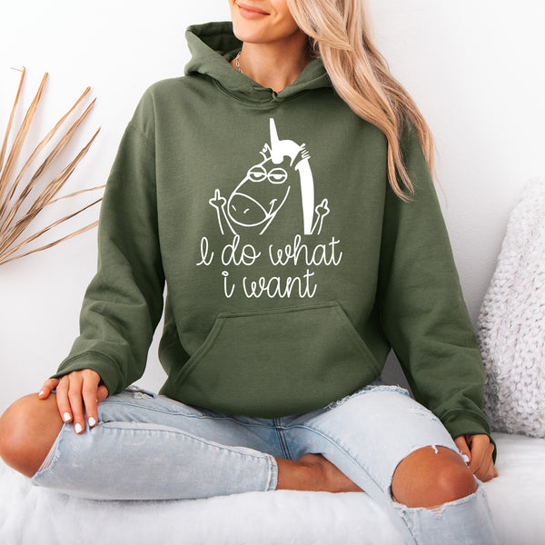 I Do What I Want Hoodie