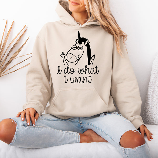 I Do What I Want Hoodie